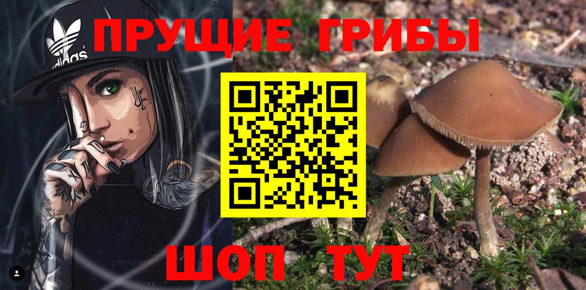 Арзамас  Псилоцибиновые грибы мицелий  Вход с VPN 
