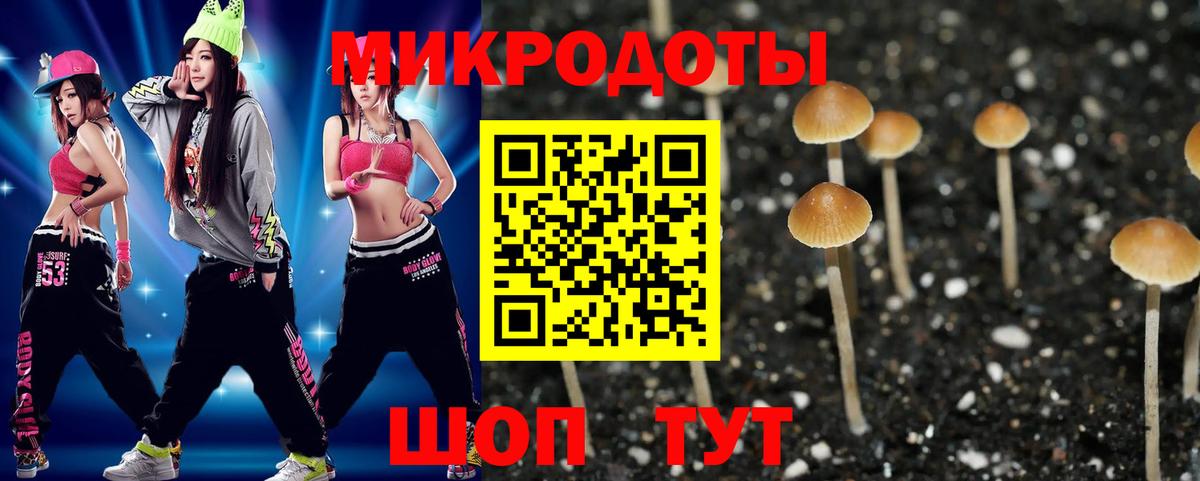 Галлюциногенные грибы Cubensis Арзамас